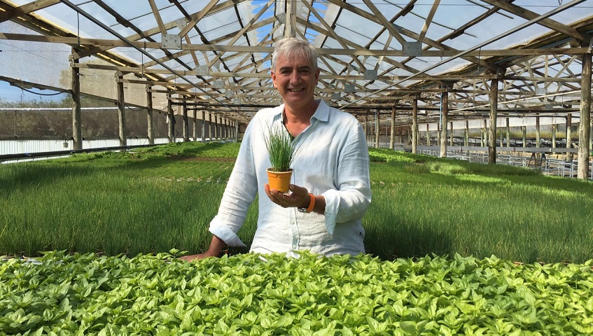 "La producció ecològica ens dóna una herba amb més gust, més aromàtica i amb les propietats de la planta intactes"